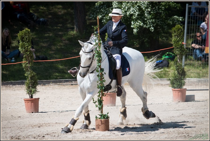 Pferd International 166